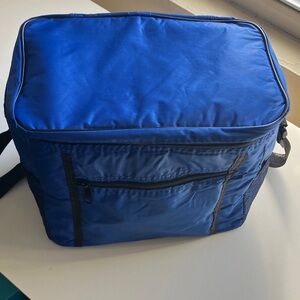 🌻Blue Insulated Cooler Bag